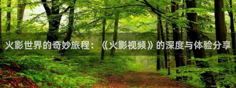 51视频在线观看网站