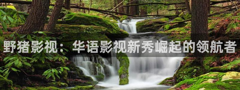 51视频压缩官网