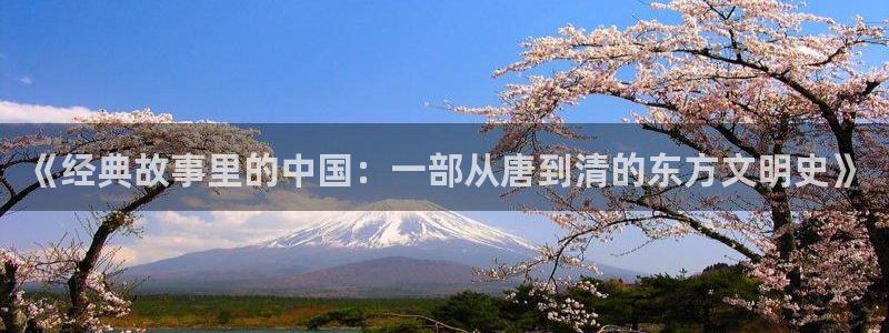 51视频免费看在线观看