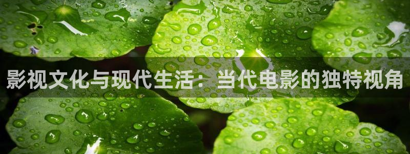 51视频网站观看