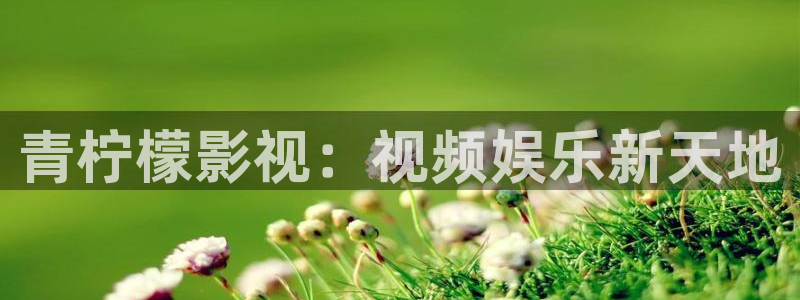 成人51视频