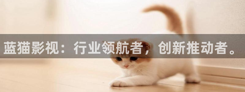 51视频网站登录