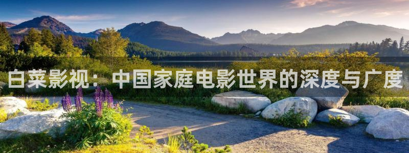 51视频会员：白菜影视：中国家庭电影世界的深度与广度
