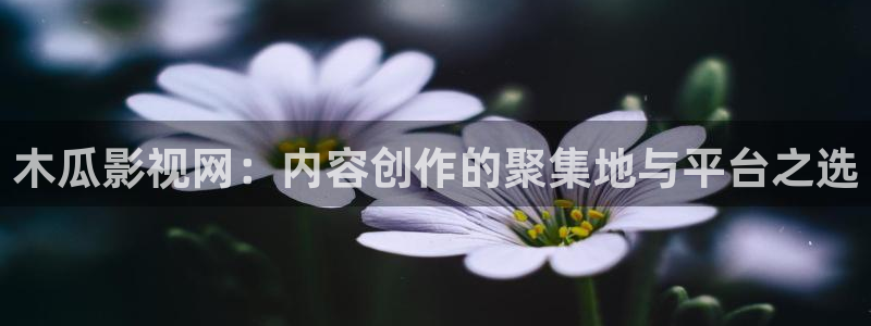 51视频交友社区：木瓜影视网：内容创作的聚集地与平台之选