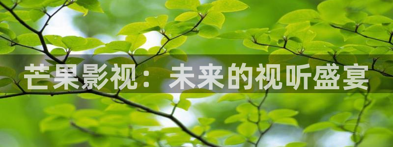 51视频高清
