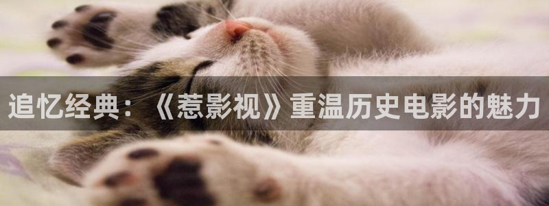 51视频啊啊啊：追忆经典：《惹影视》重温历史电影的魅力