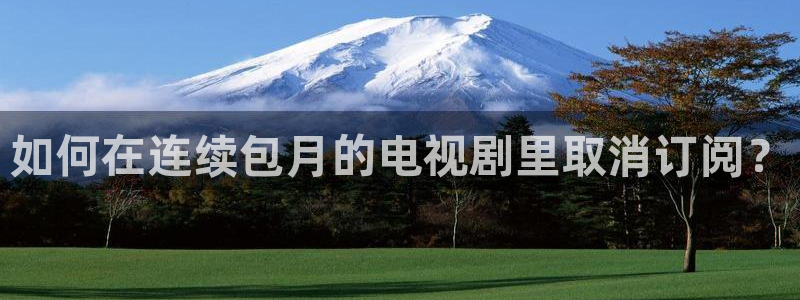 51视频免费观看