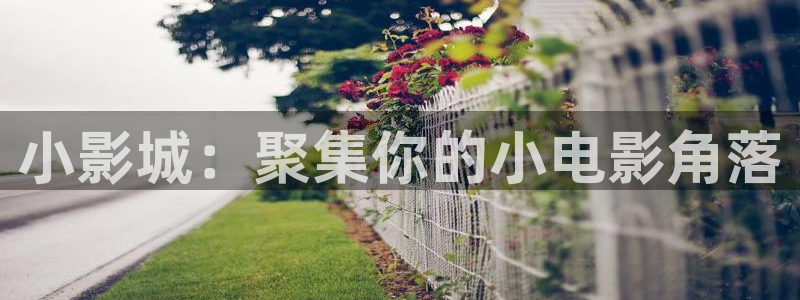 51视频在线免费：小影城：聚集你的小电影角落