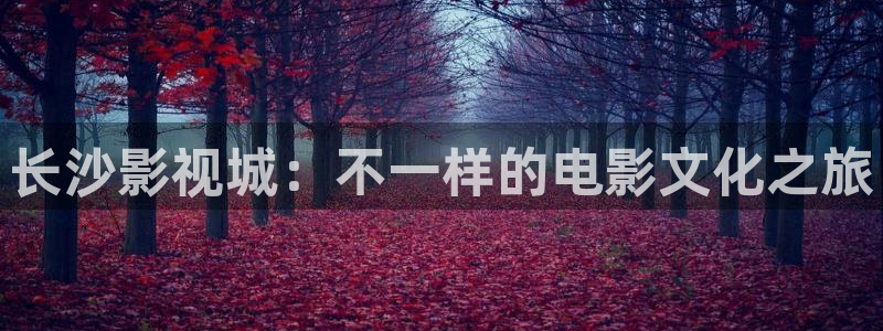 51视频免费在线播放